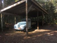Algonquin Provincial Park - Spaziergang auf dem Logging Trail
