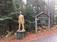 Algonquin Provincial Park - Spaziergang auf dem Logging Trail