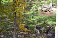 Fahrt durch den Omega-Wildpark