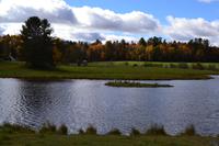 Fahrt durch den Omega-Wildpark