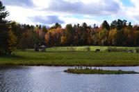 Fahrt durch den Omega-Wildpark