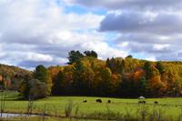 Fahrt durch den Omega-Wildpark
