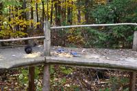 Fahrt durch den Omega-Wildpark