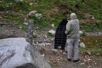 Fahrt durch den Omega-Wildpark