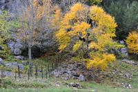 Fahrt durch den Omega-Wildpark