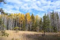 Erholung am Lac Taureau