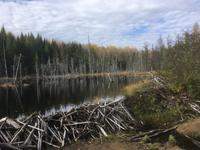 Erholung am Lac Taureau