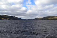 Auf der Suche nach Walen auf dem Sankt-Lorenz-Strom