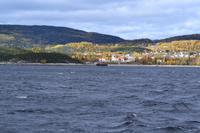 Auf der Suche nach Walen auf dem Sankt-Lorenz-Strom
