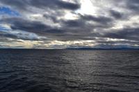 Auf der Suche nach Walen auf dem Sankt-Lorenz-Strom