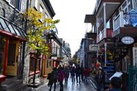 Stadtrundfahrt in Québec