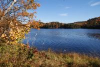 173 Indian Summer