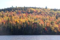 174 Indian Summer