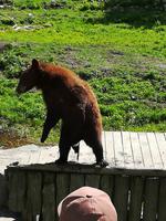 038 Omega Wildlife Parc