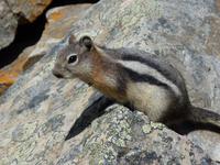 105 Banff-Nationalpark - am Moraine Lake