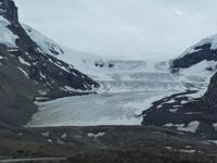 115 Athabasca Gletscher