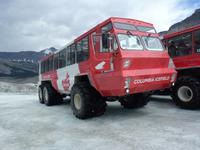 117 Athabasca Gletscher