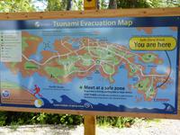 180 Vancouver Island - Rund um Tofino