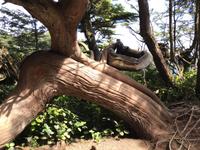 182 Vancouver Island - Rund um Tofino