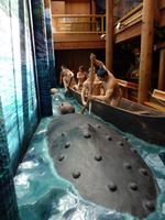 188 Vancouver Island - Rund um Tofino - Besucherzentrum Wickaninish Beach