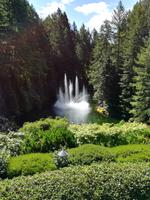 216 Vancouver Island - Butchart Gardens