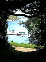 222 Vancouver Island - Butchart Gardens