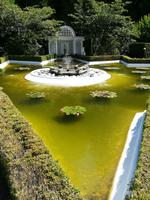 226 Vancouver Island - Butchart Gardens