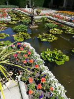 227 Vancouver Island - Butchart Gardens