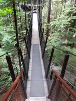 237 Vancouver - Capilano Suspension Bridge