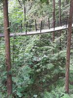 238 Vancouver - Capilano Suspension Bridge