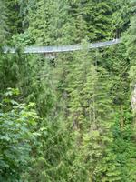 239 Vancouver - Capilano Suspension Bridge