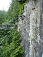 240 Vancouver - Capilano Suspension Bridge