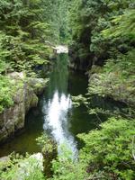 245 Vancouver - Regenwald im Norden Vancouvers