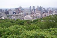Blick vom Mont Royal (2)