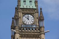 Parlamenthügel Ottawa (5)