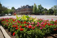 Niagara on the lake (3)