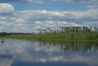 Unterwegs in Ontario (6)