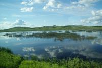 Aussicht aus dem Zug (5)