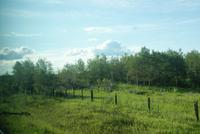 Aussicht aus dem Zug (6)