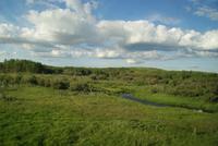 Aussicht aus dem Zug (7)