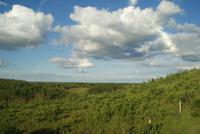 Aussicht aus dem Zug (8)