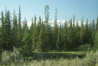 Aussicht aus dem Zug (16)