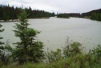 Athasbasca Fluss (2)