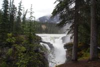 Athabasca Falls (3)