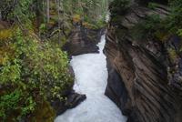 Athabasca Falls (4)