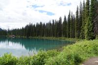 Emerald Lake (4)