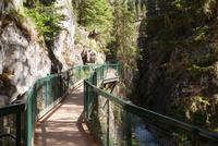 Johnston Canyon (3)