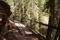 Johnston Canyon (4)