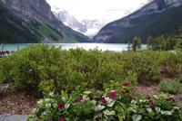 Lake Louise (2)