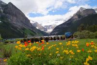 Lake Louise (4)